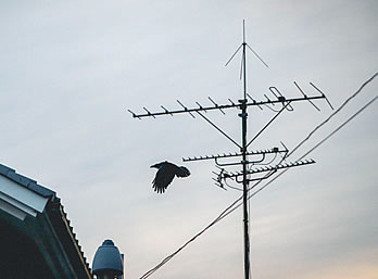 elektroinstallationen, antennen elektriker